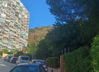 Piso reformado en Av Montecarlo, Bnirdorm, Ciudad antena