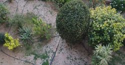 Piso reformado en Av Montecarlo, Bnirdorm, Ciudad antena