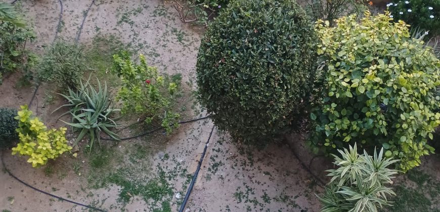 Piso reformado en Av Montecarlo, Bnirdorm, Ciudad antena